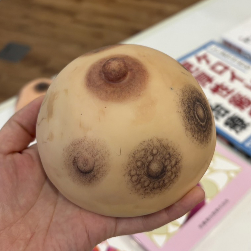 乳輪・乳頭（パラメディカル）コース